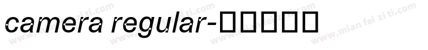 camera regular字体转换